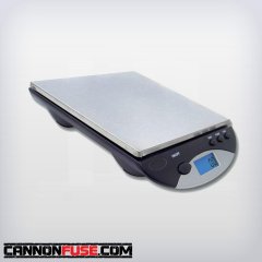 Digital Bench Scale